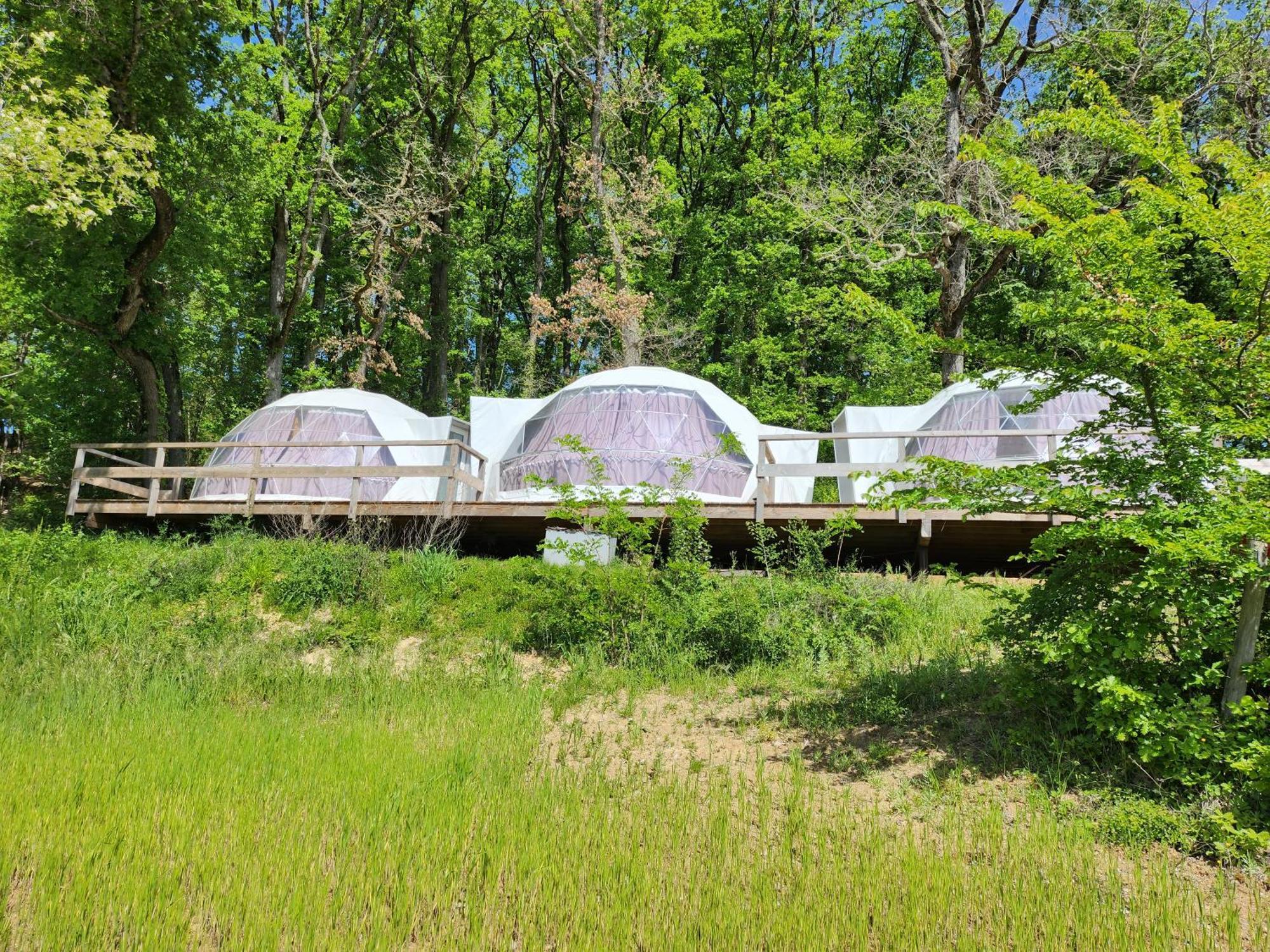 Domaine De Massoulac Molières Exterior foto