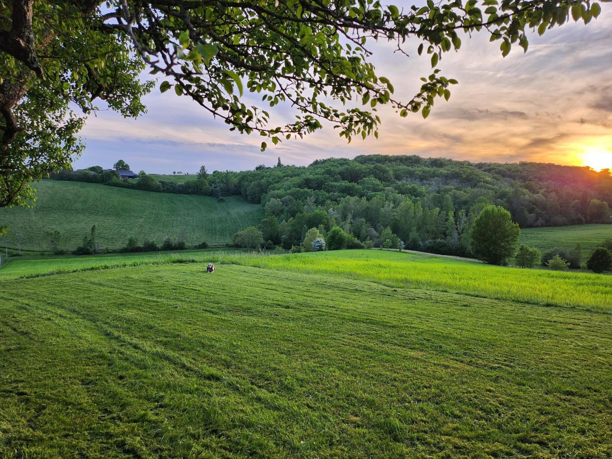 Domaine De Massoulac Molières Exterior foto